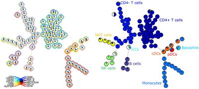 A Computational Pipeline for the Diagnosis of CVID Patients